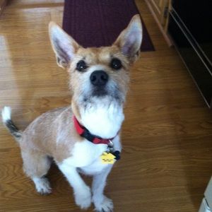 Meet your Posher, Terri